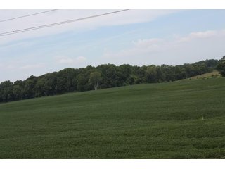 Property photo 66 - LAND AUCTION - 1,193+/- ACRES IN 14 TRACTS IN PIKE & GIBSON COUNTY, INDIANA